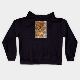 Rustic Seaside Erosion Texture Kids Hoodie